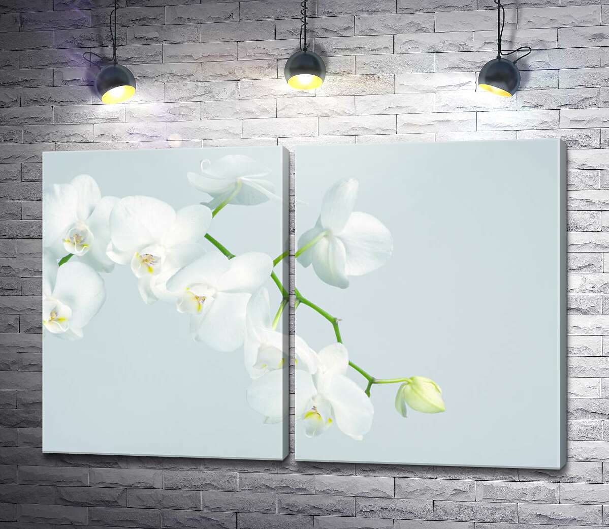 модульная картина Веточка белоснежных орхидей