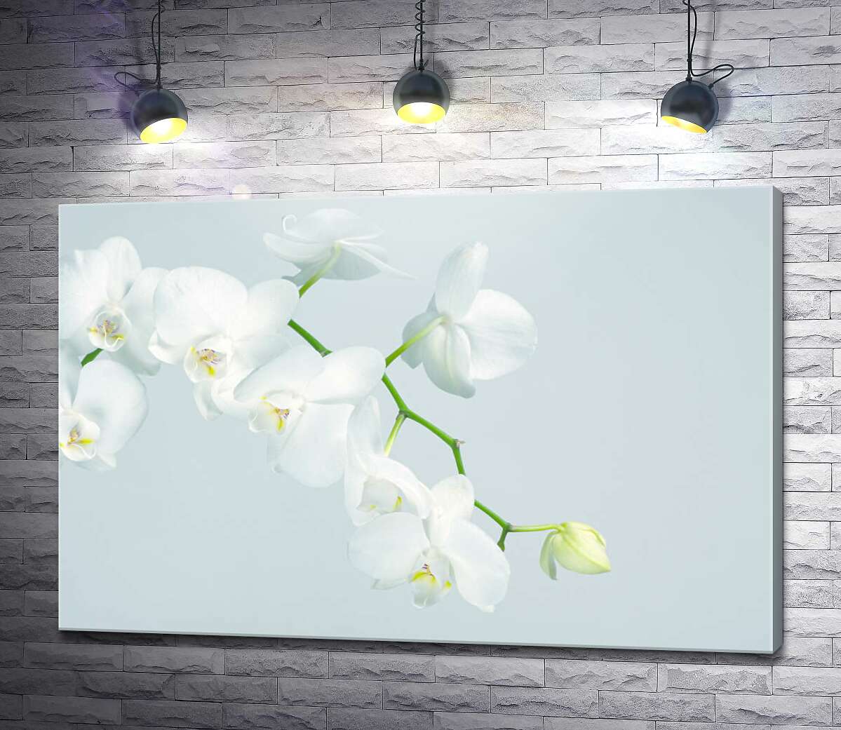 картина Гілочка білих орхідей