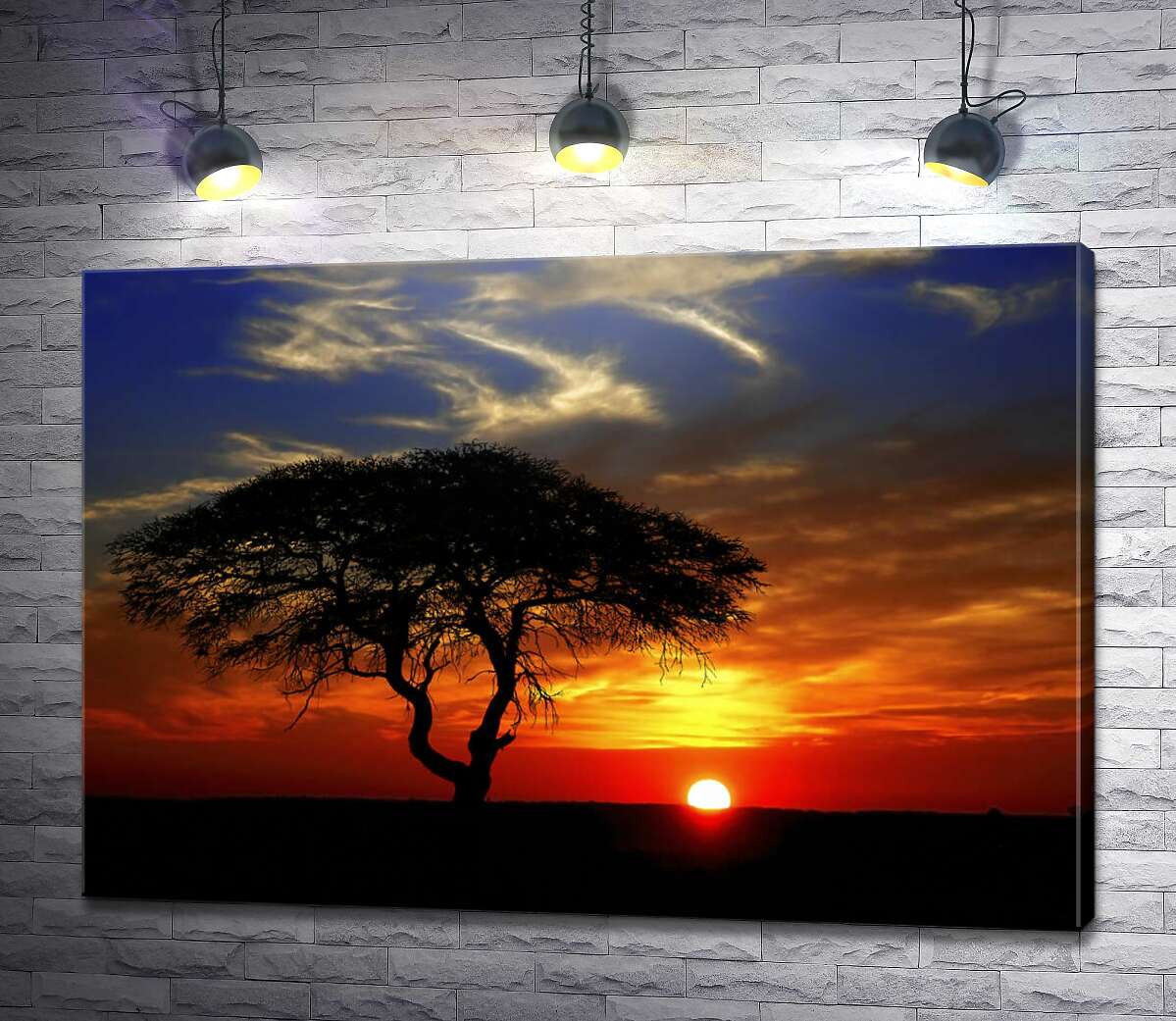 картина Холодний захід сонця у степах савани