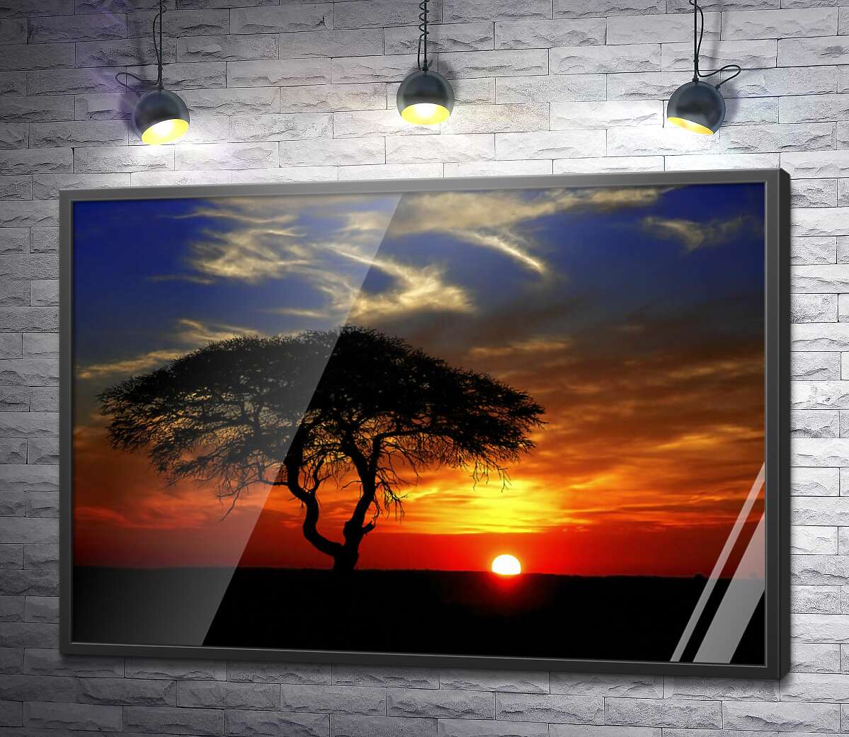 постер Холодний захід сонця у степах савани