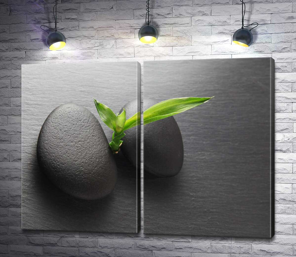 модульна картина Гладкі камені та паросток бамбука