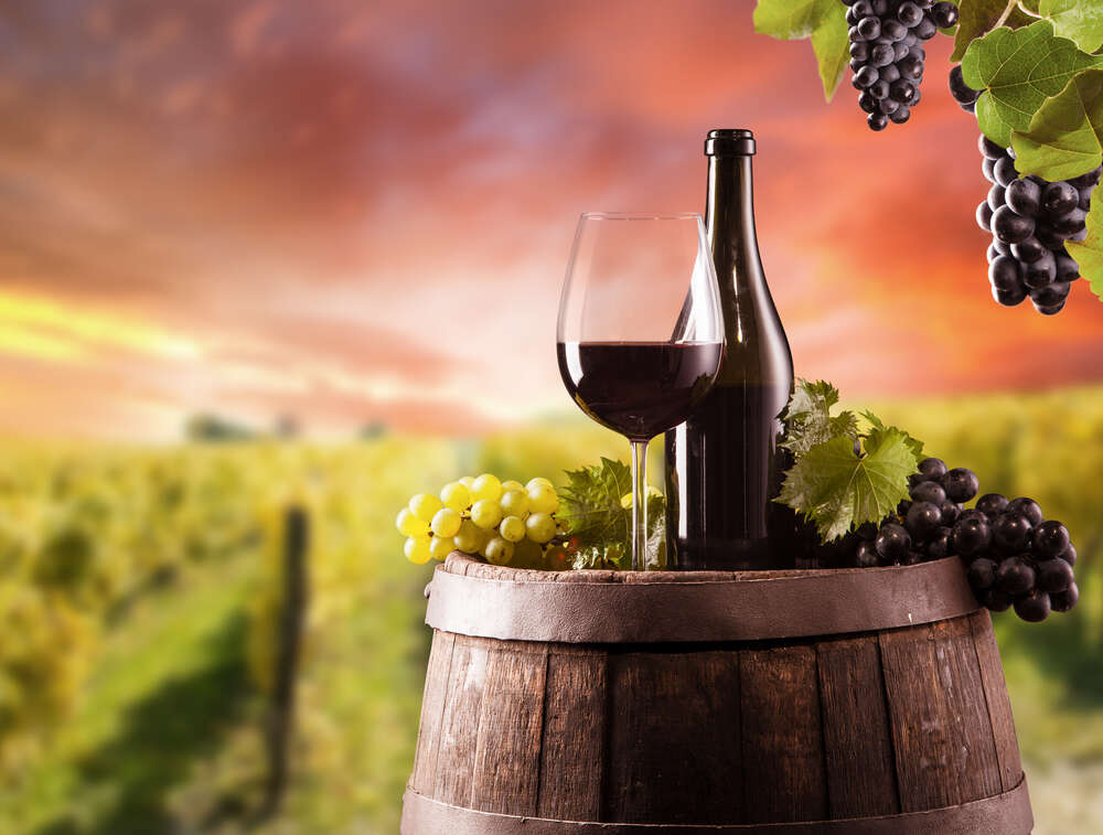 картина-постер Красное вино на фоне виноградника