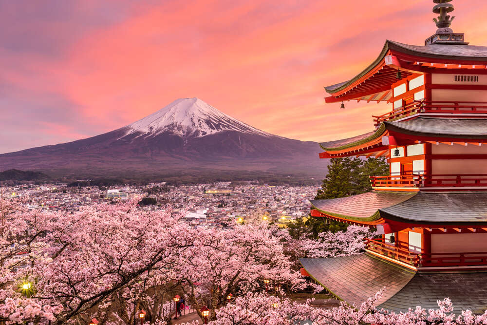 картина-постер Гора Фудзі та пагода потопають у квітах сакури