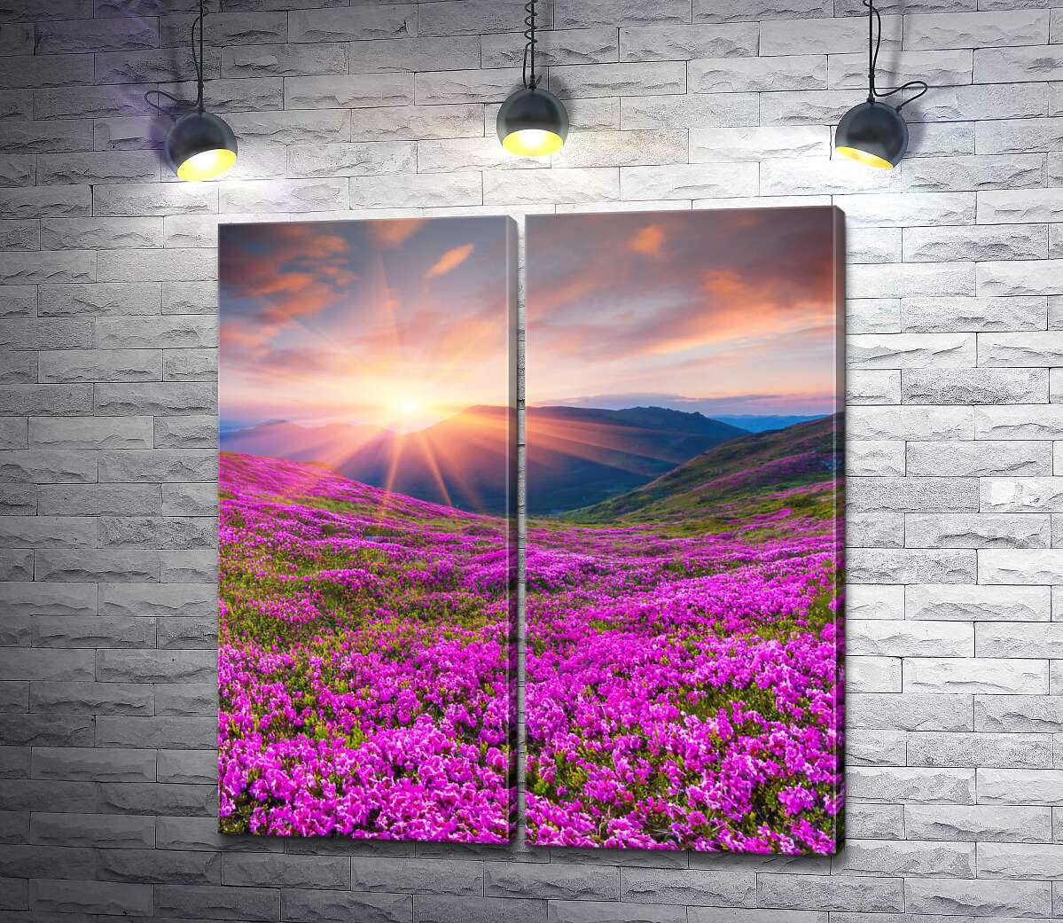 модульная картина Рассвет на поляне розовых цветов