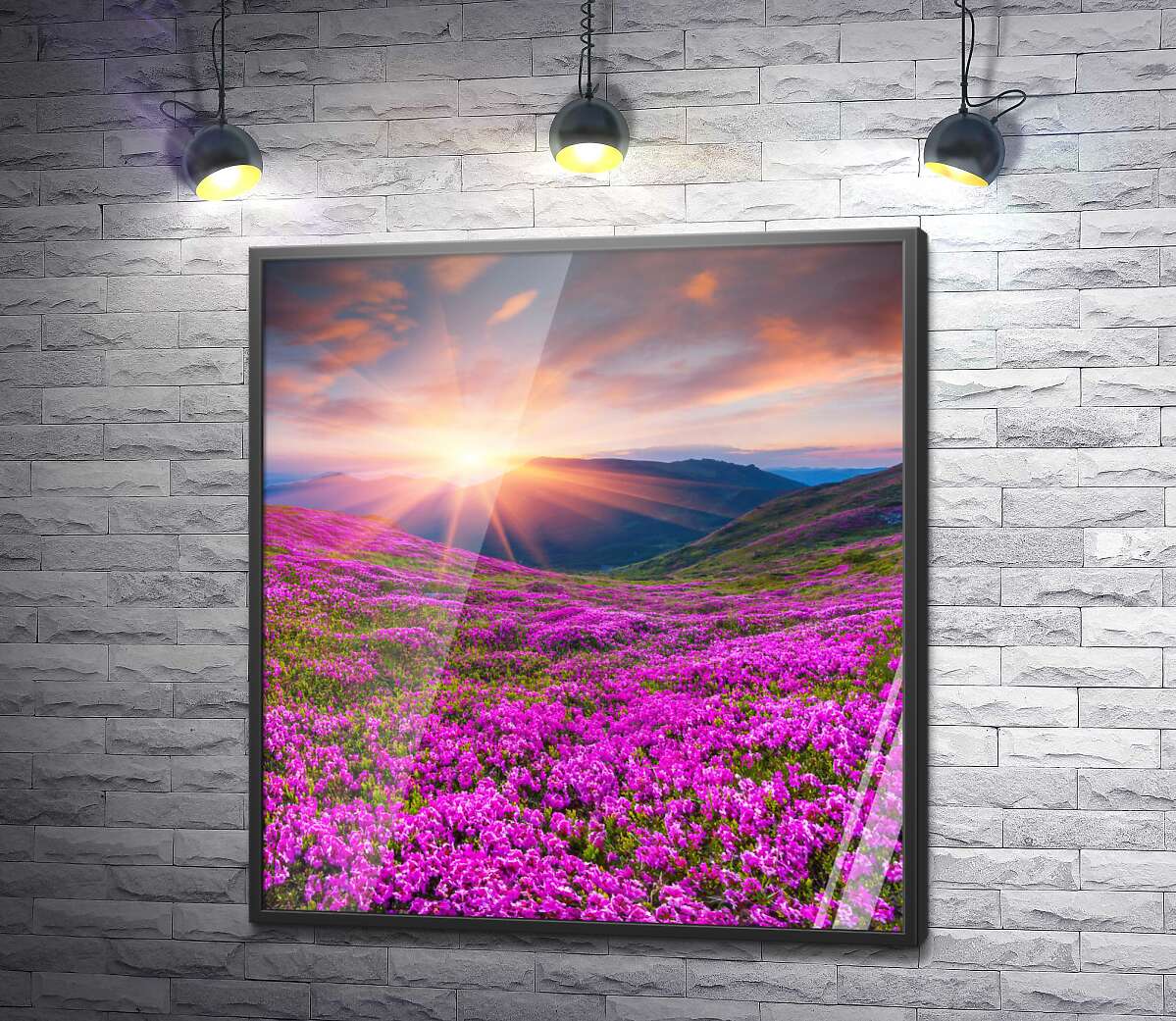 постер Світанок на галявині рожевих квітів