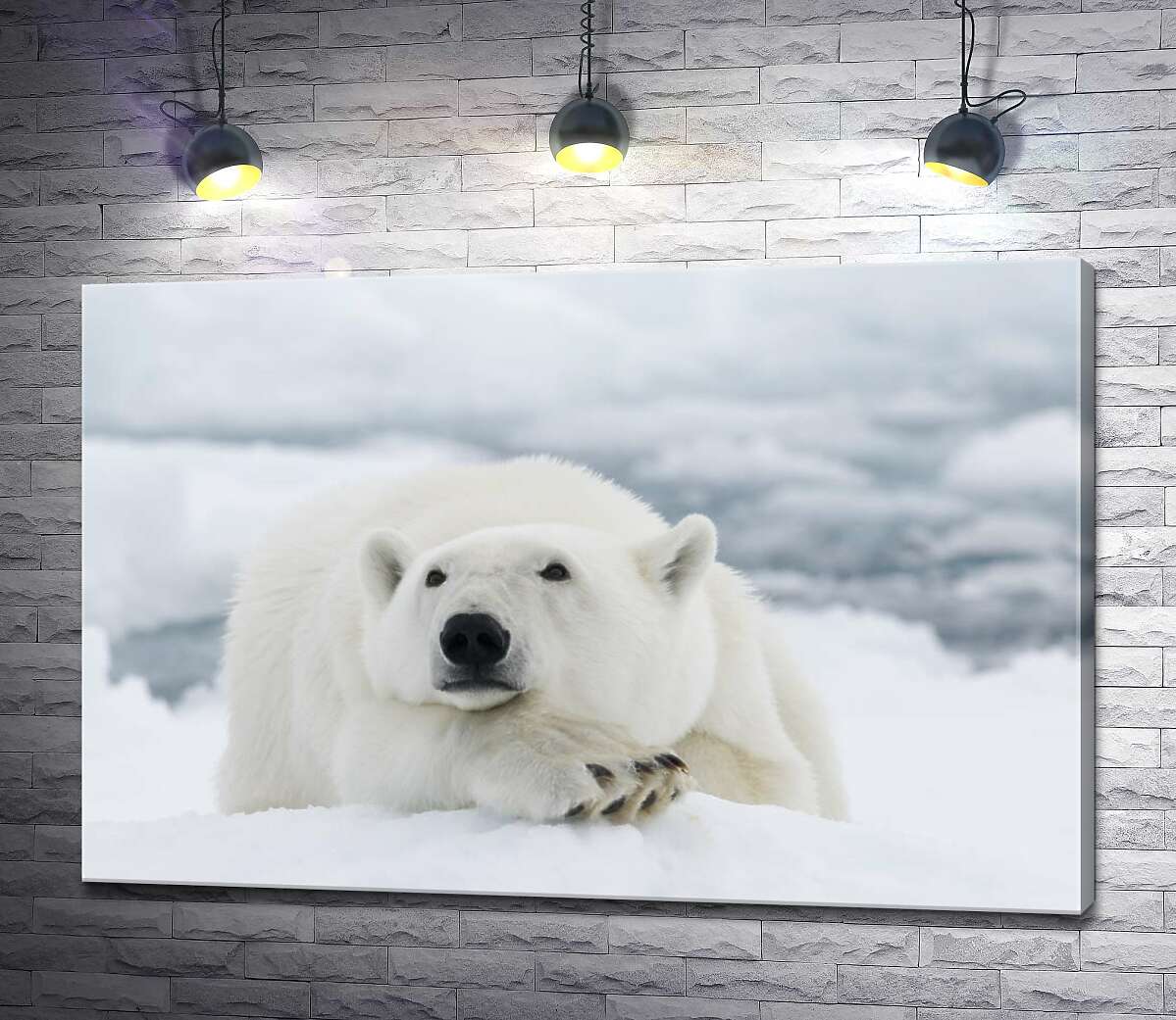 картина Белый медведь отдыхает на снегу