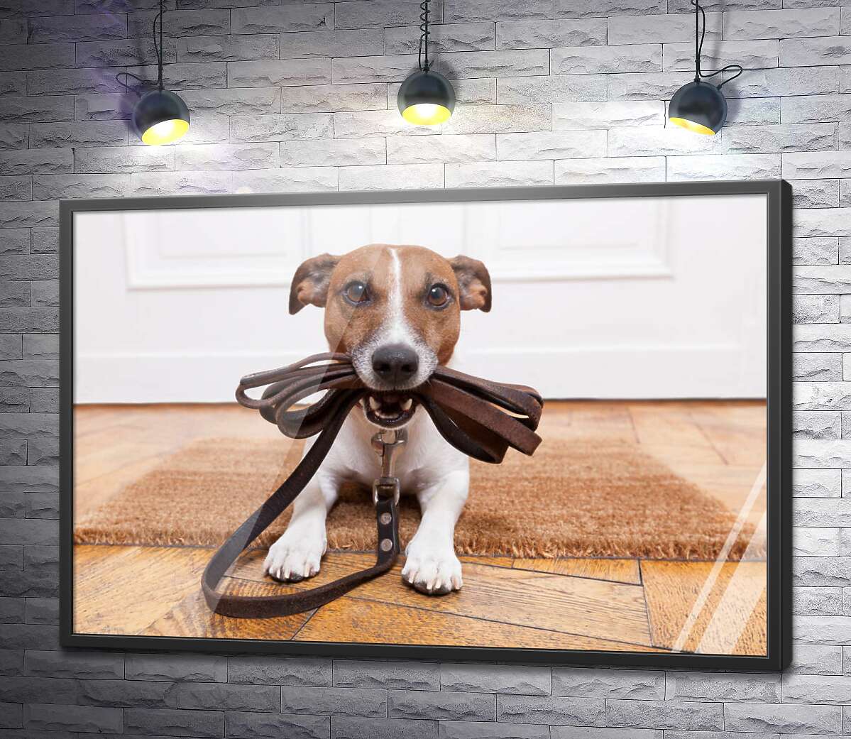 постер Игривая собака, держащая свой поводок