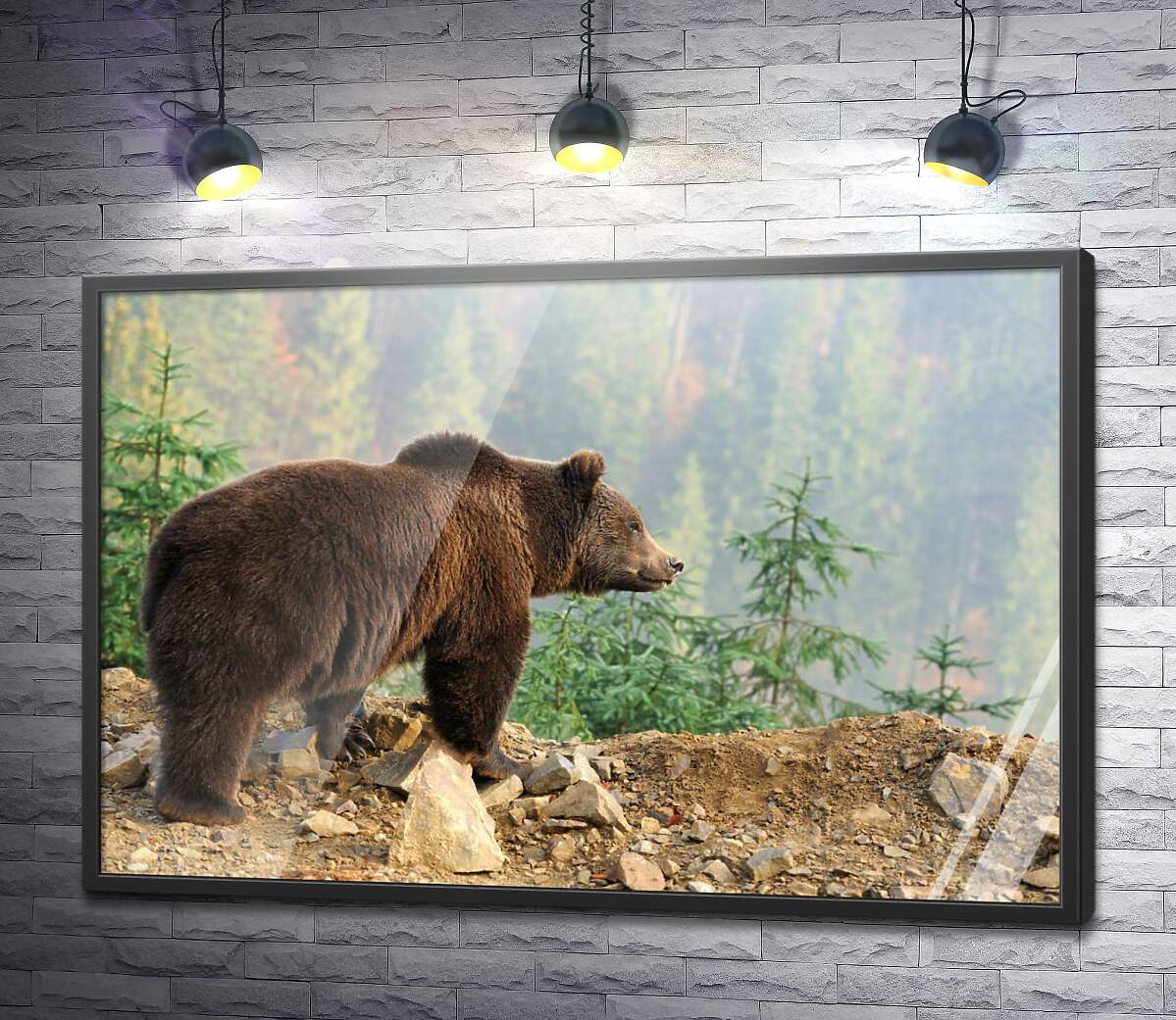постер Бурый медведь задумчиво глядит со склона горы
