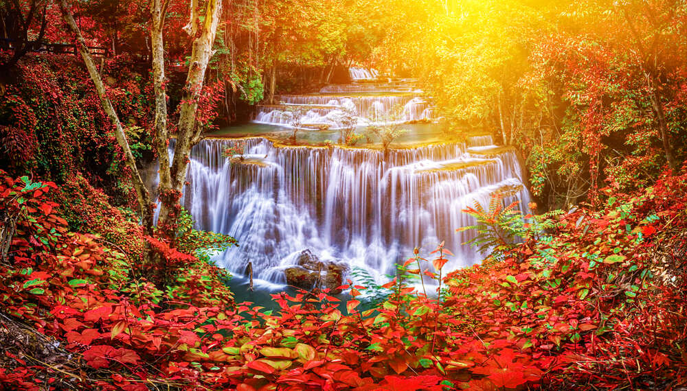 картина-постер Каскад  небольших водопадов в лесной местности