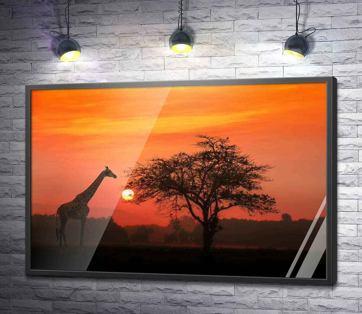 постер Жираф возле дерева в саванне на закате
