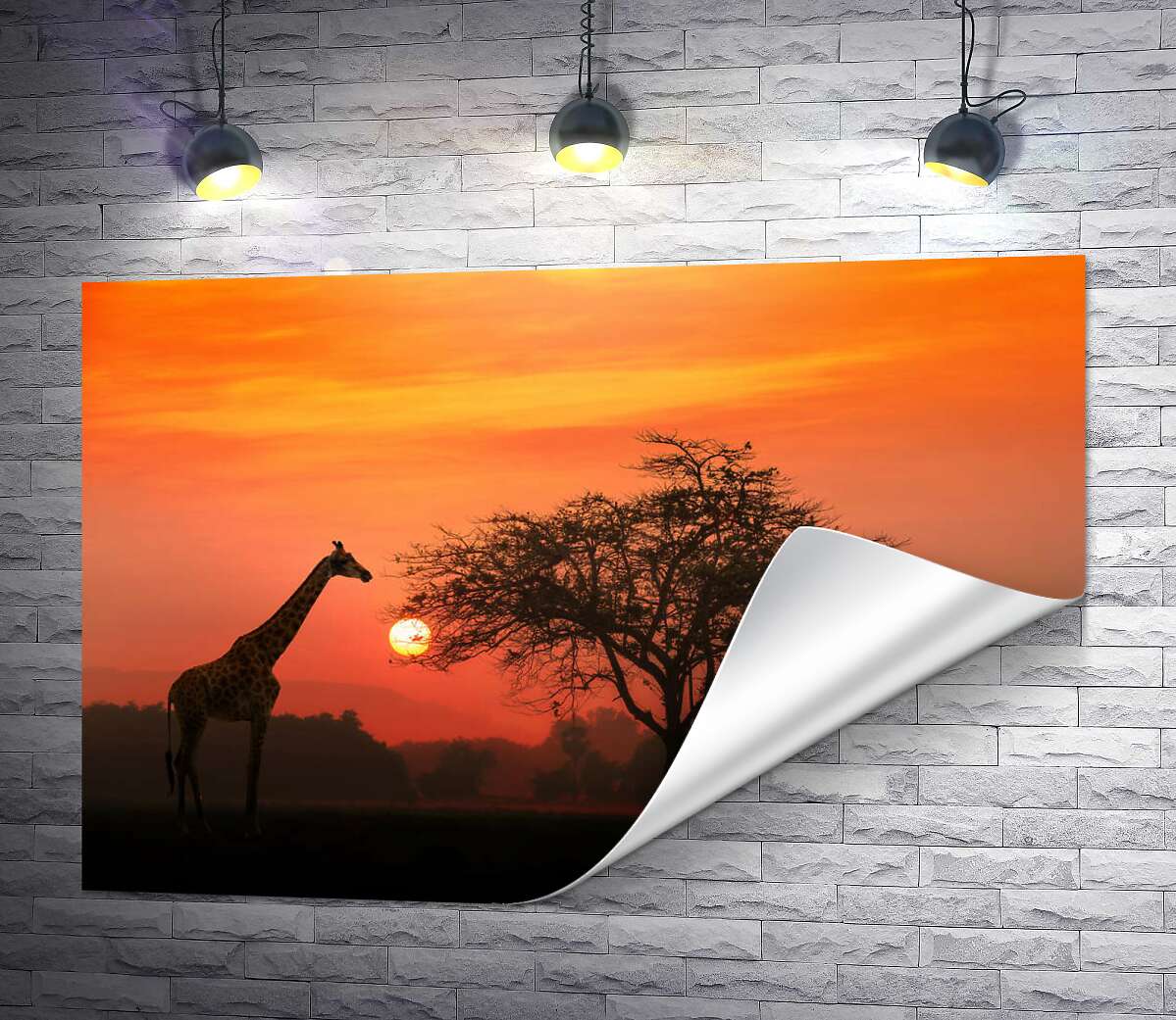 печать Жираф возле дерева в саванне на закате