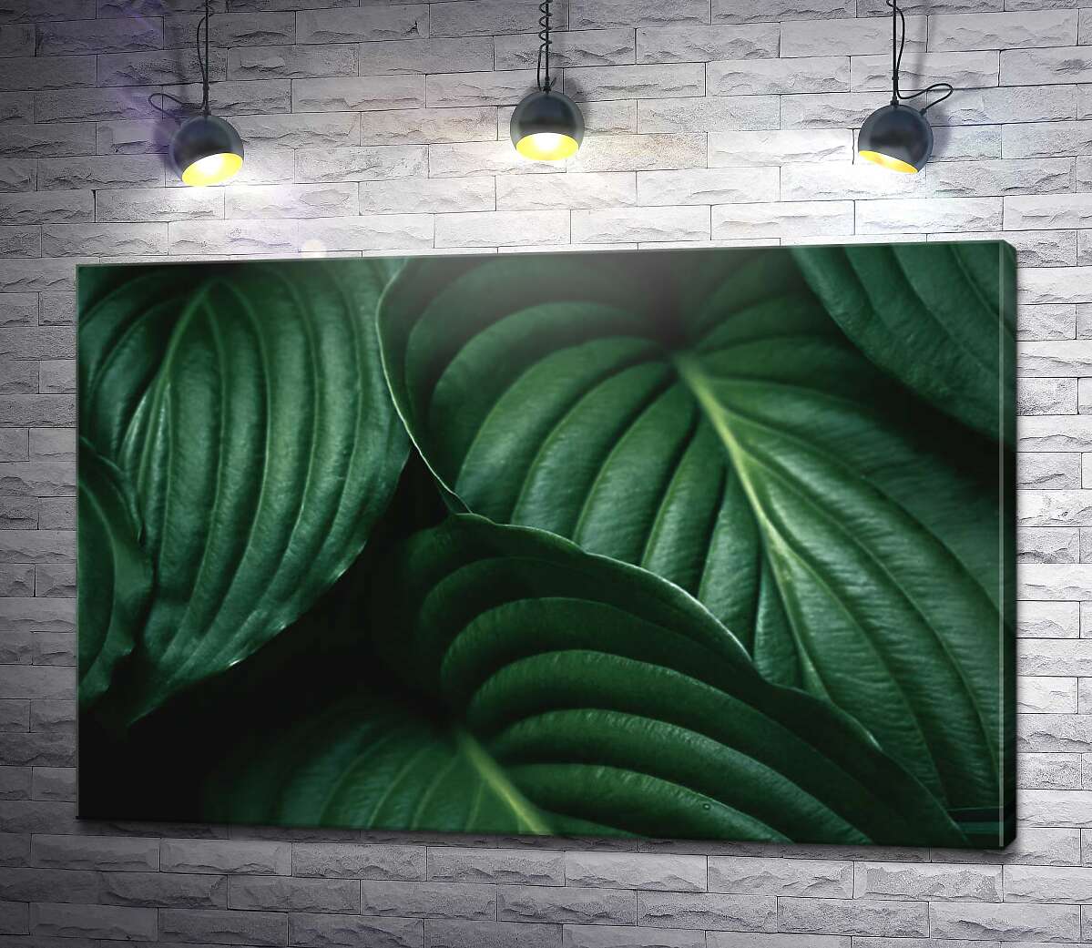 картина Темно-зелене тропічне листя