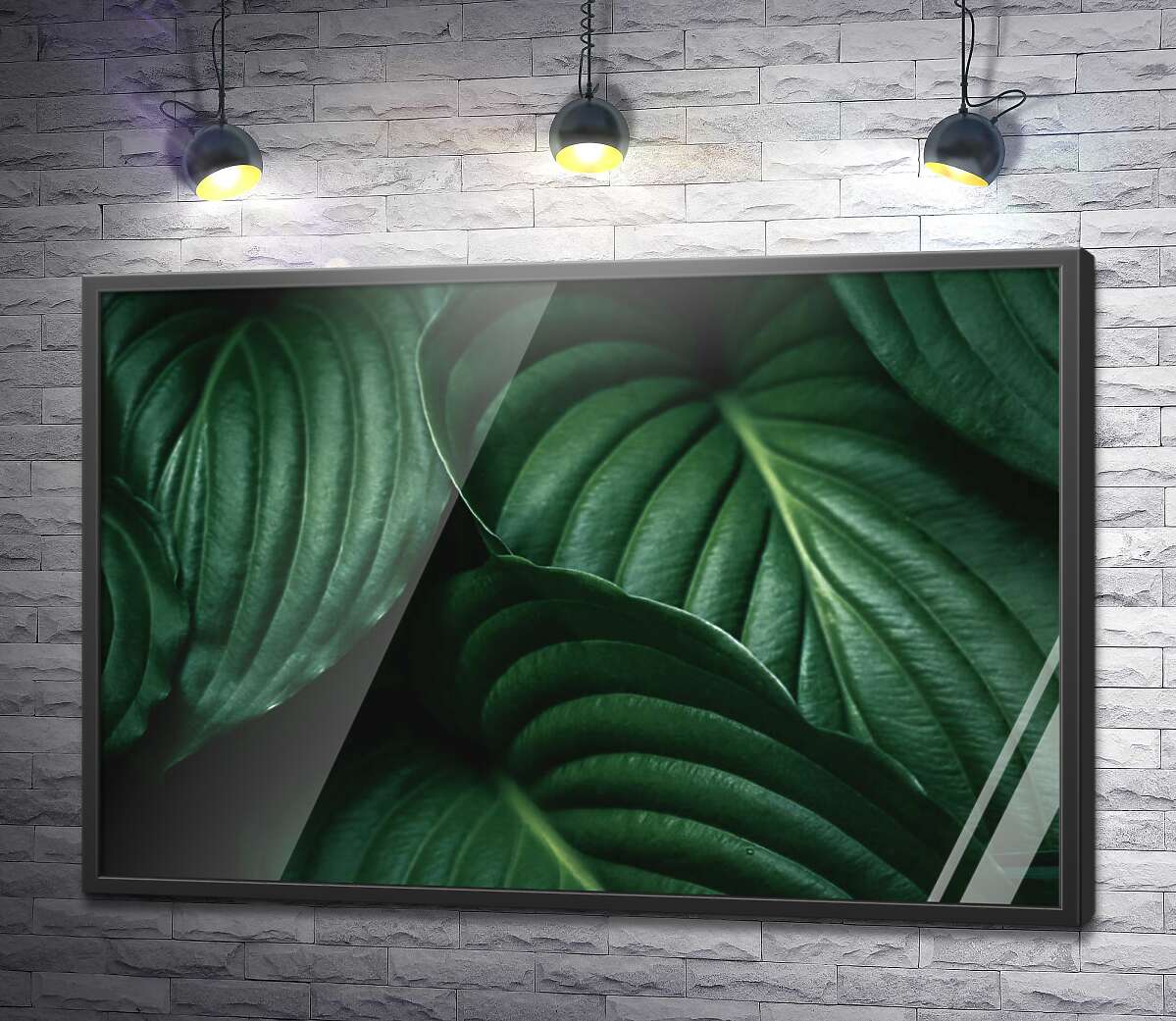 постер Темно-зеленые тропические листья