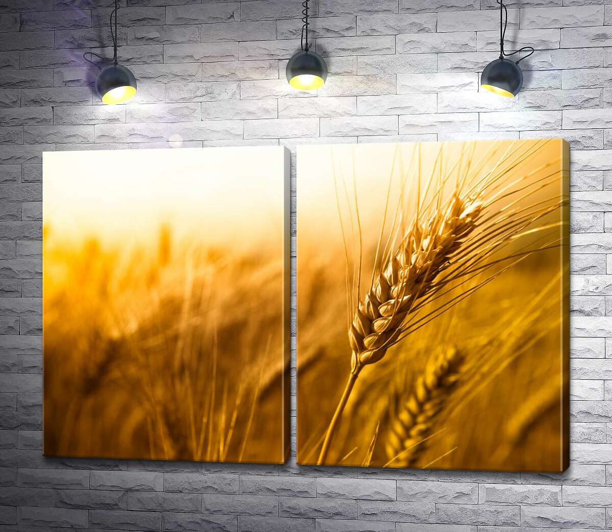 модульная картина Желтый колосок пшеницы крупным планом