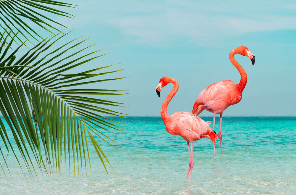 картина-постер Два розовых фламинго на берегу океана