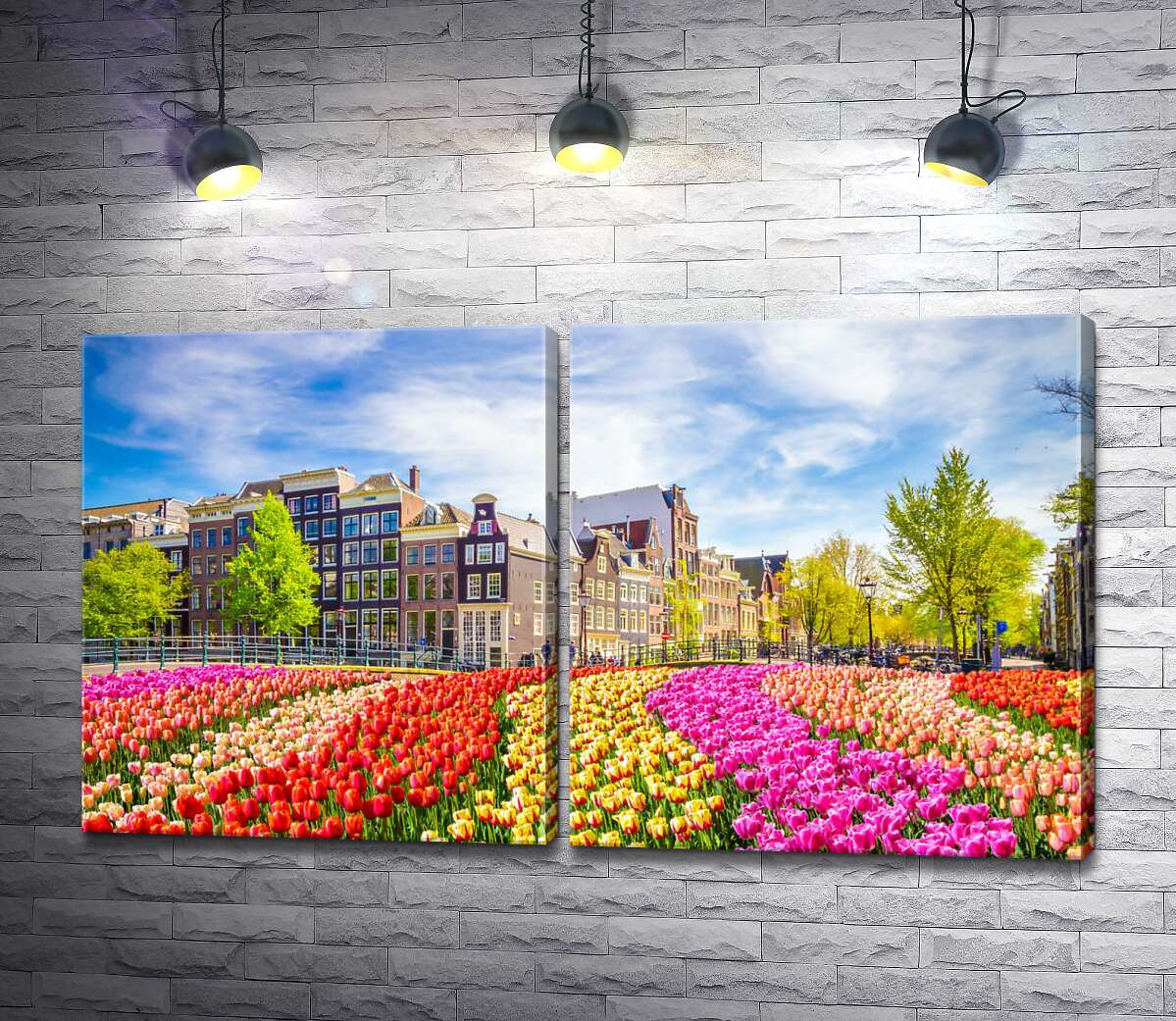 модульная картина Поле тюльпанов на фоне аккуратных домиков