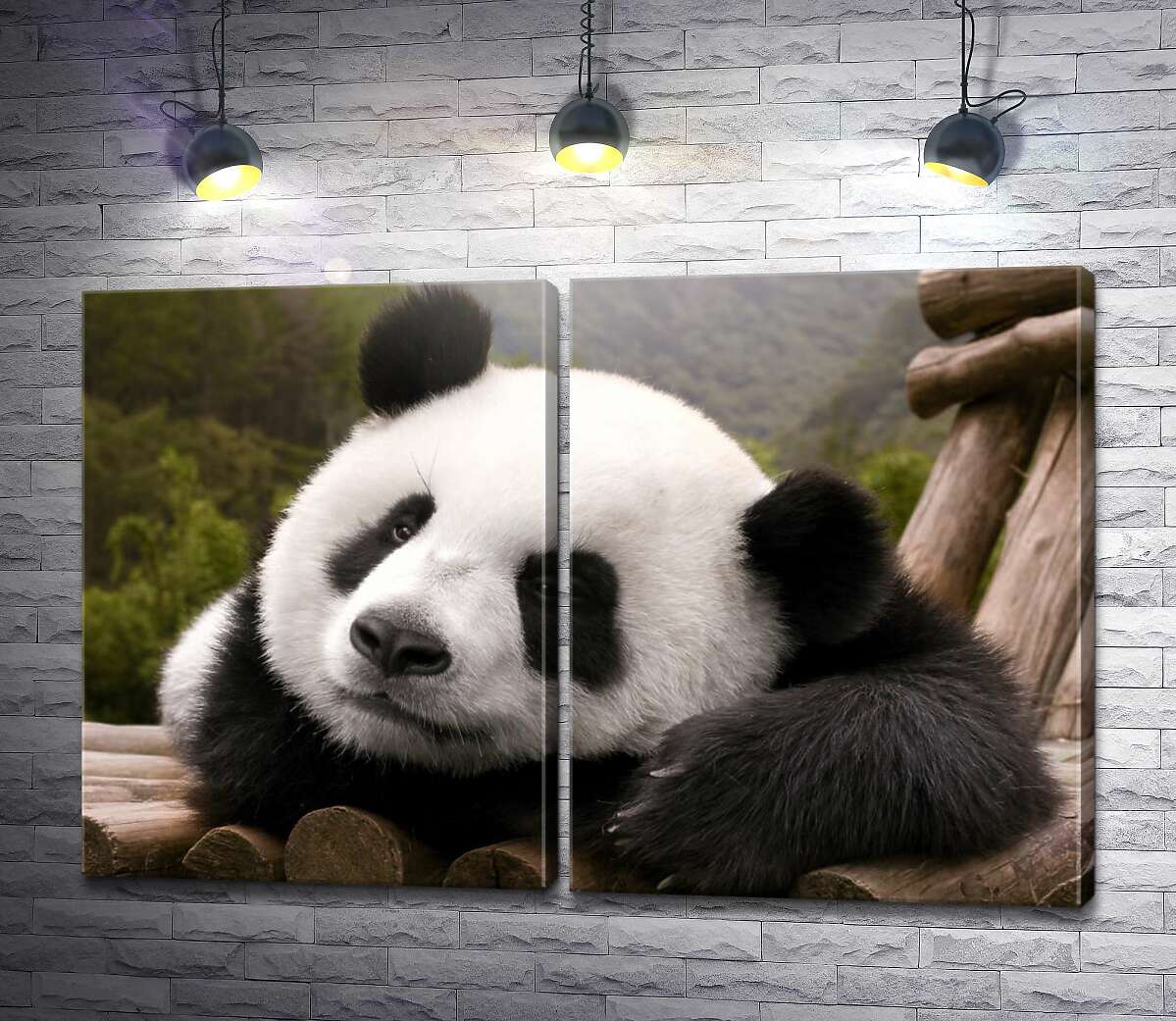 модульная картина Отдыхающая панда