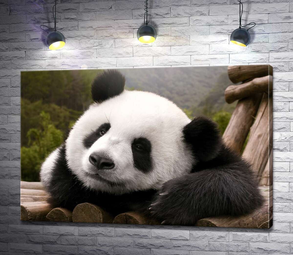 картина Отдыхающая панда