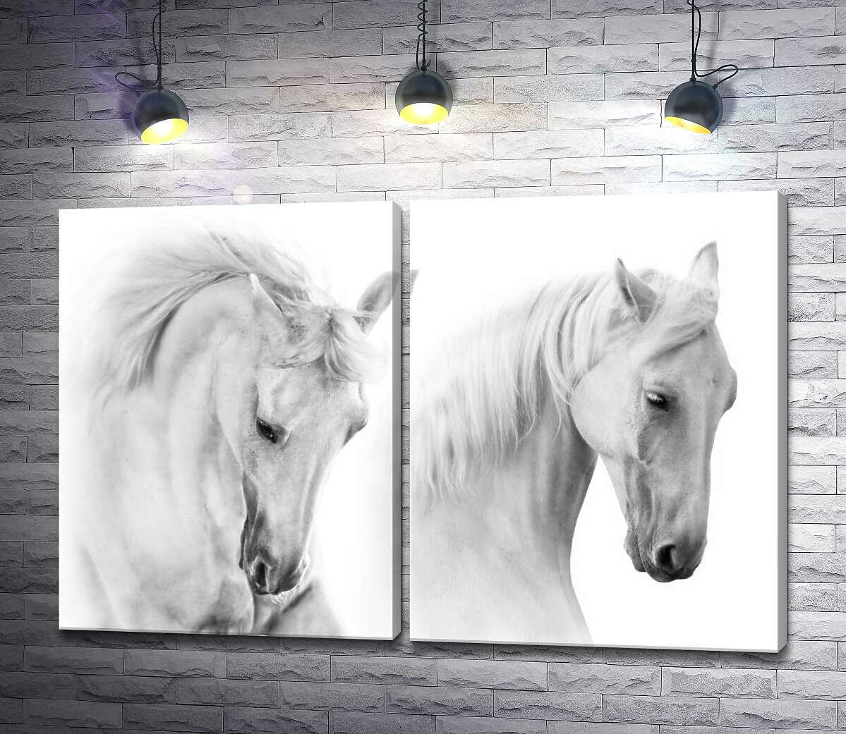 модульная картина Два белых грациозных коня