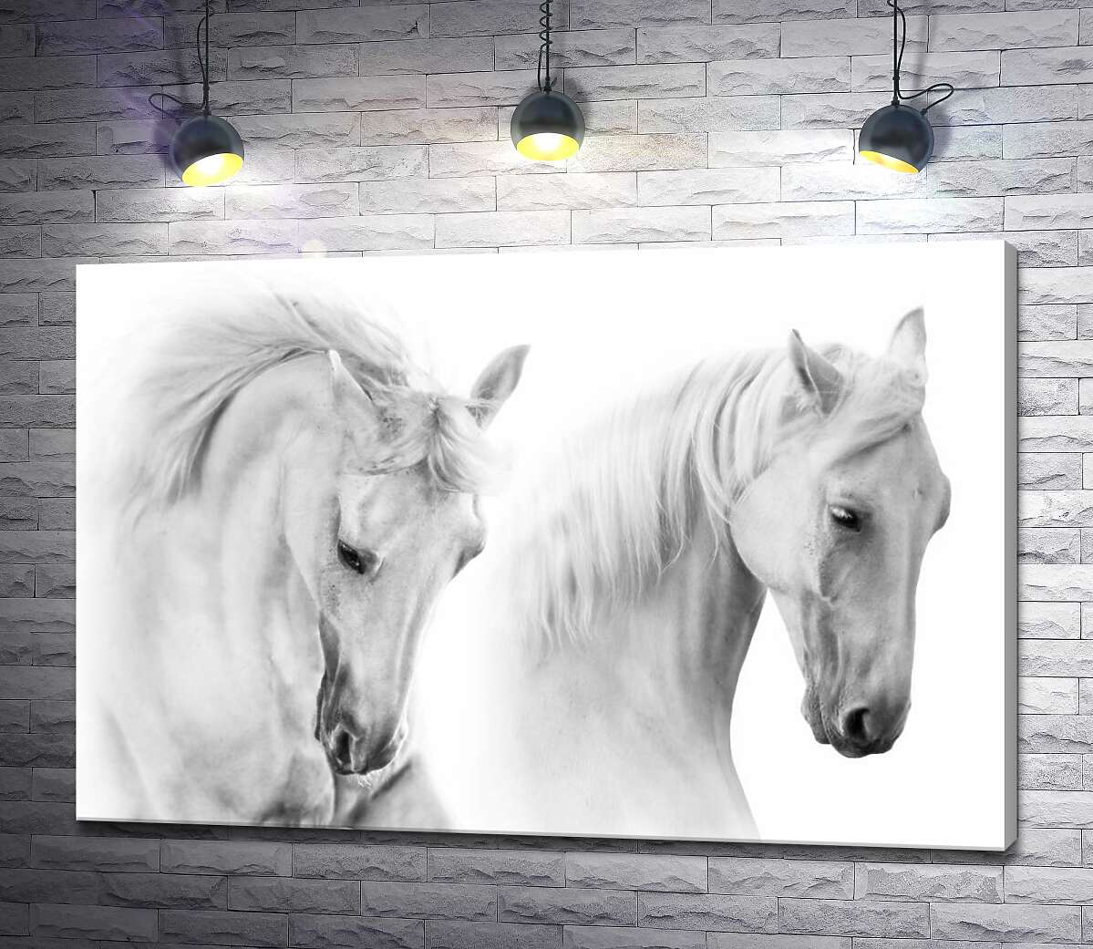 картина Два белых грациозных коня
