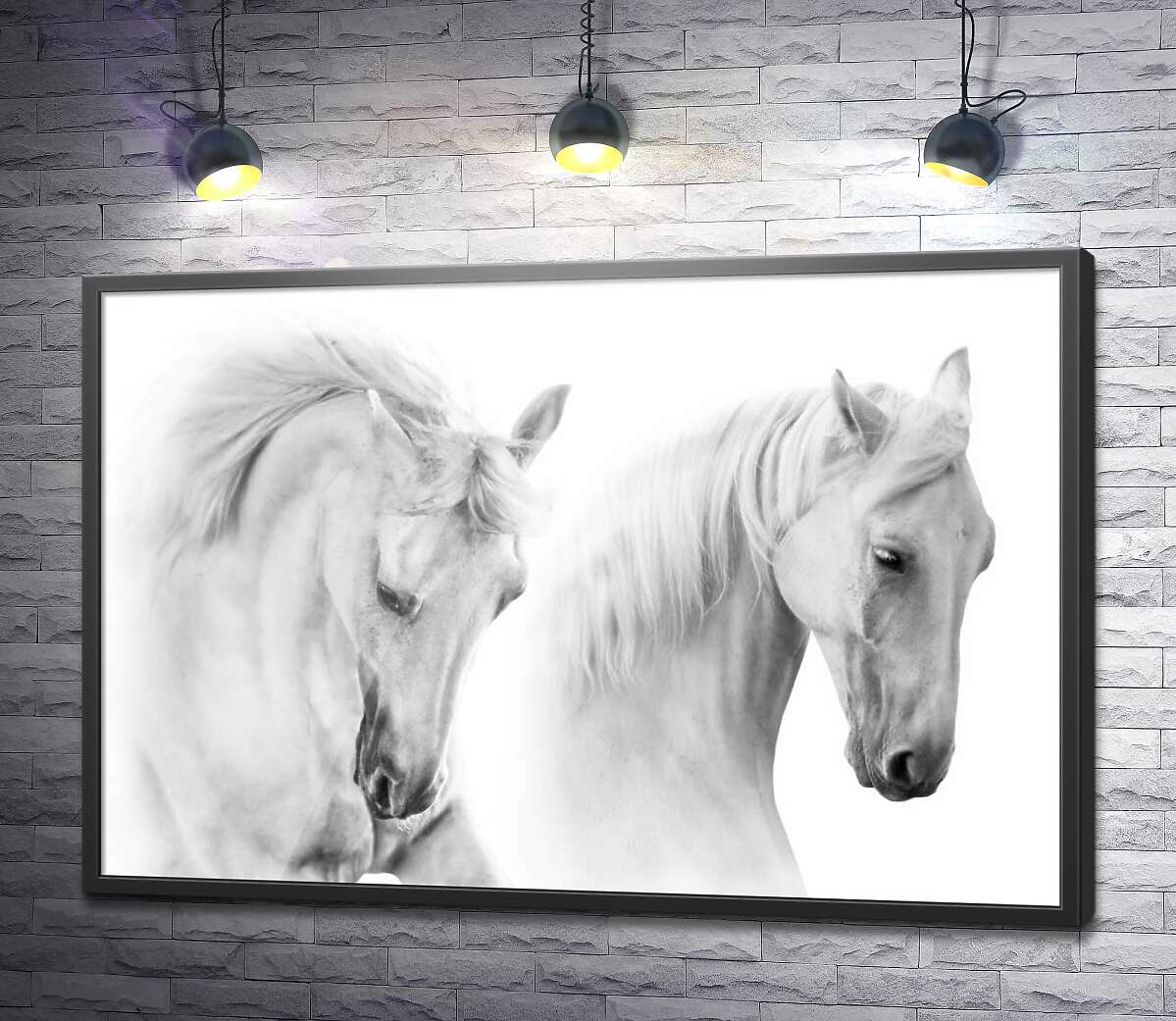 постер Два белых грациозных коня