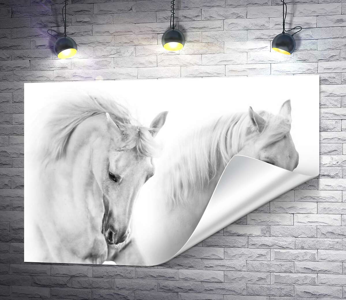 друк Два білих граціозних коня