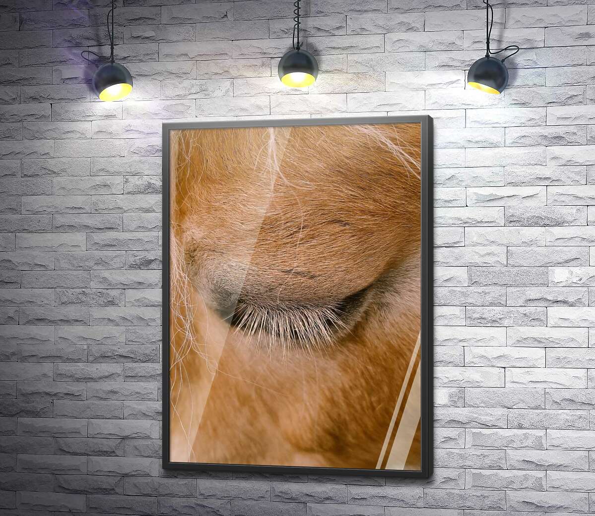 постер Фрагмент обличчя коня крупним планом