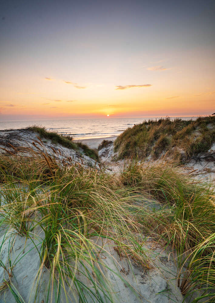 картина-постер Морський захід сонця з боку порослого берега