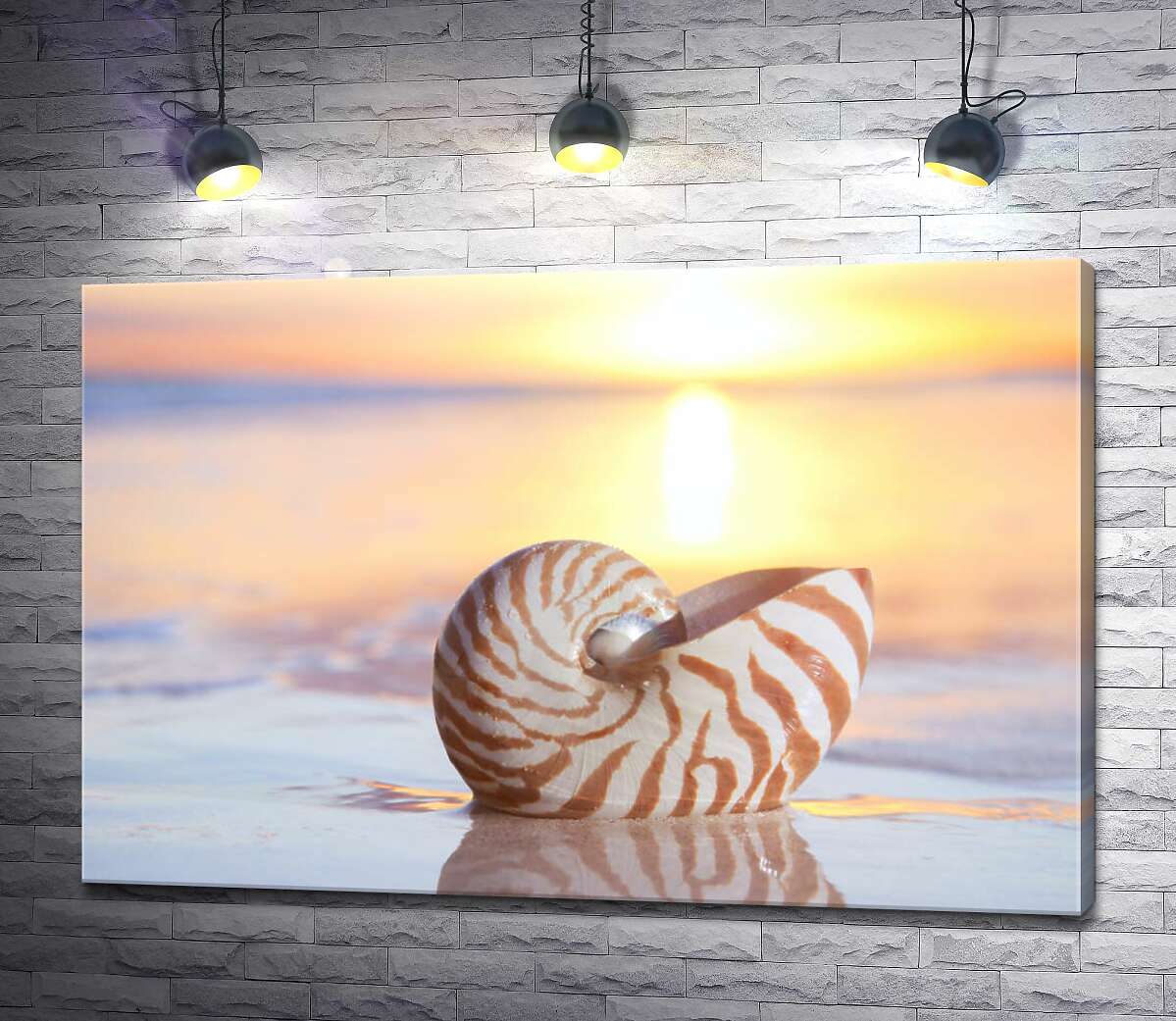 картина Ракушка в песке на фоне заходящего солнца