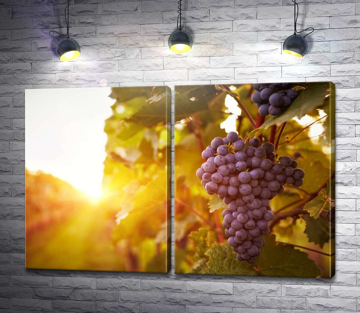 модульная картина Гроздь спелого винограда в лучах солнца
