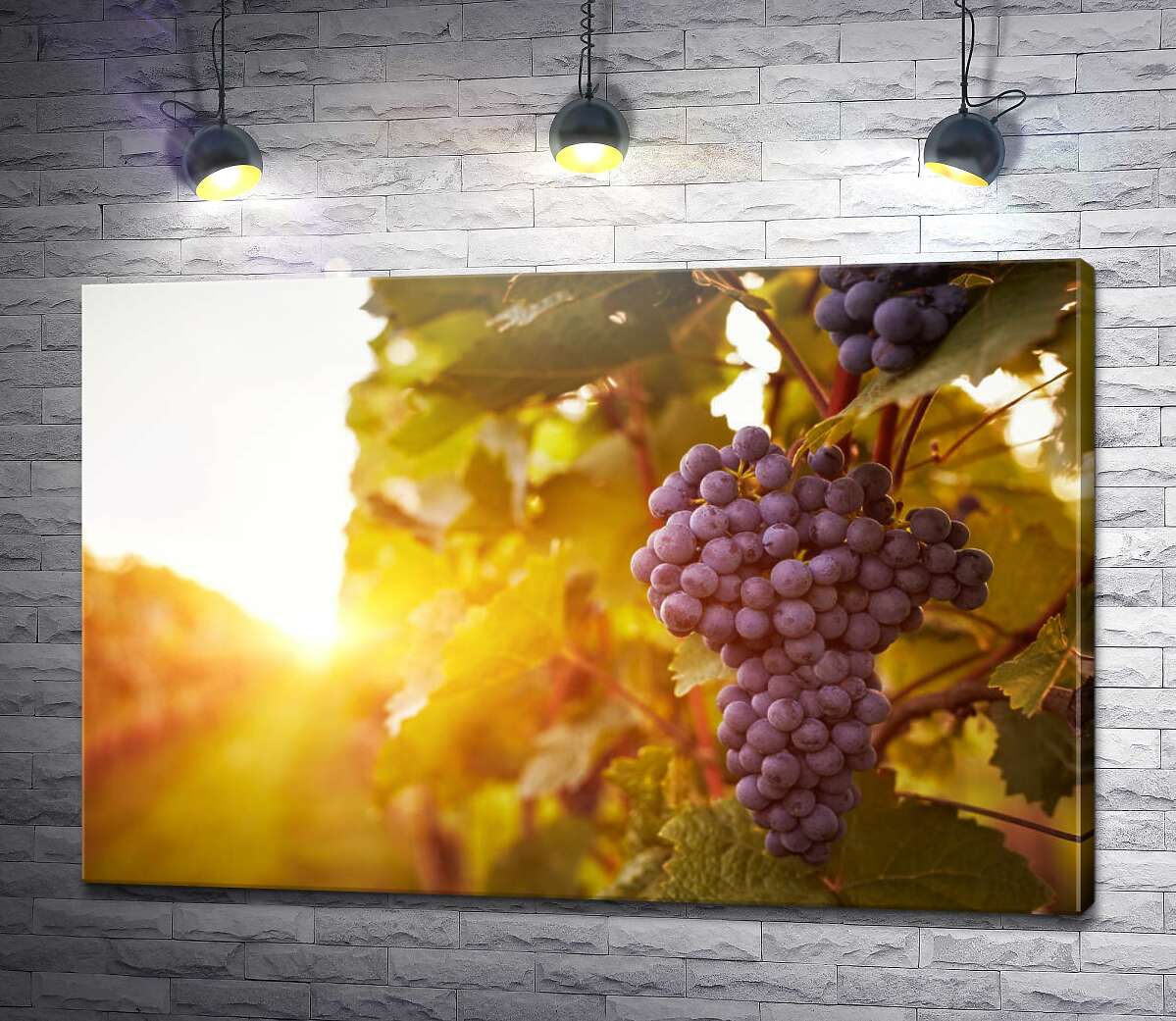 картина Гроздь спелого винограда в лучах солнца