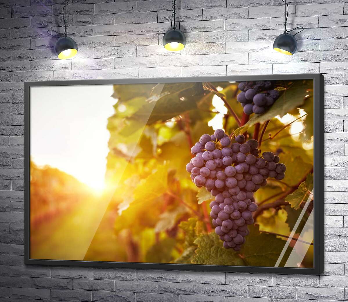 постер Гроздь спелого винограда в лучах солнца