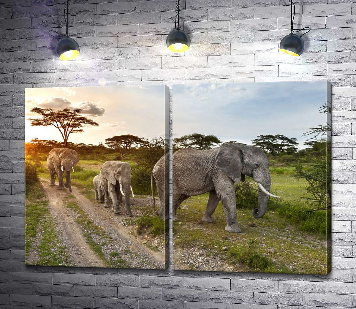 модульная картина Группа слонов, гуляющих по саванне