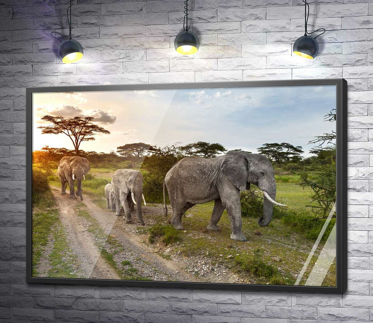 постер Группа слонов, гуляющих по саванне
