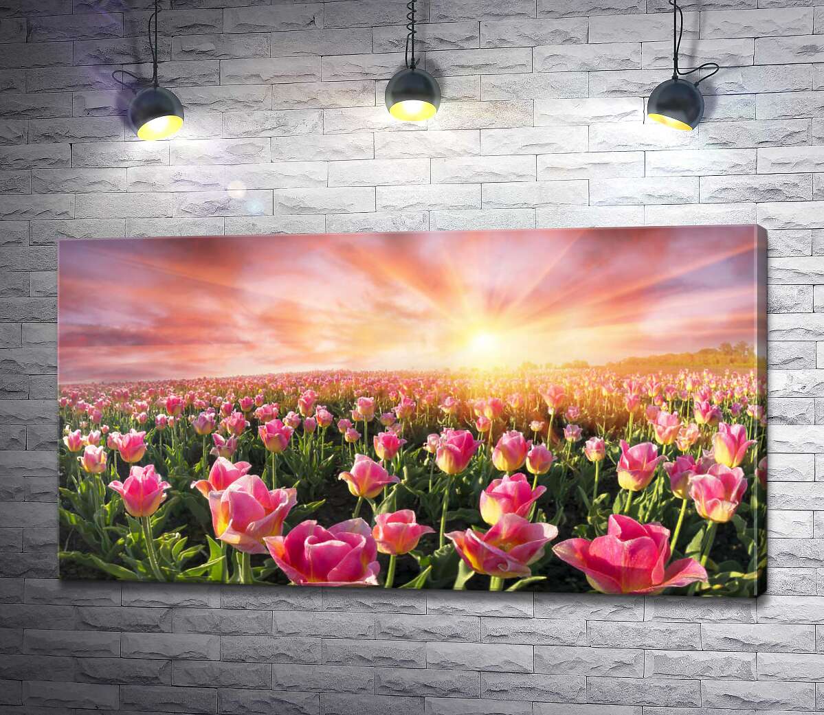 картина Поле рожеві тюльпани на світанку