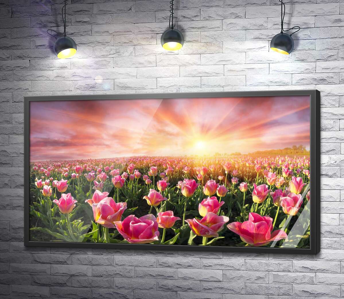 постер Поле розовых тюльпанов на рассвете