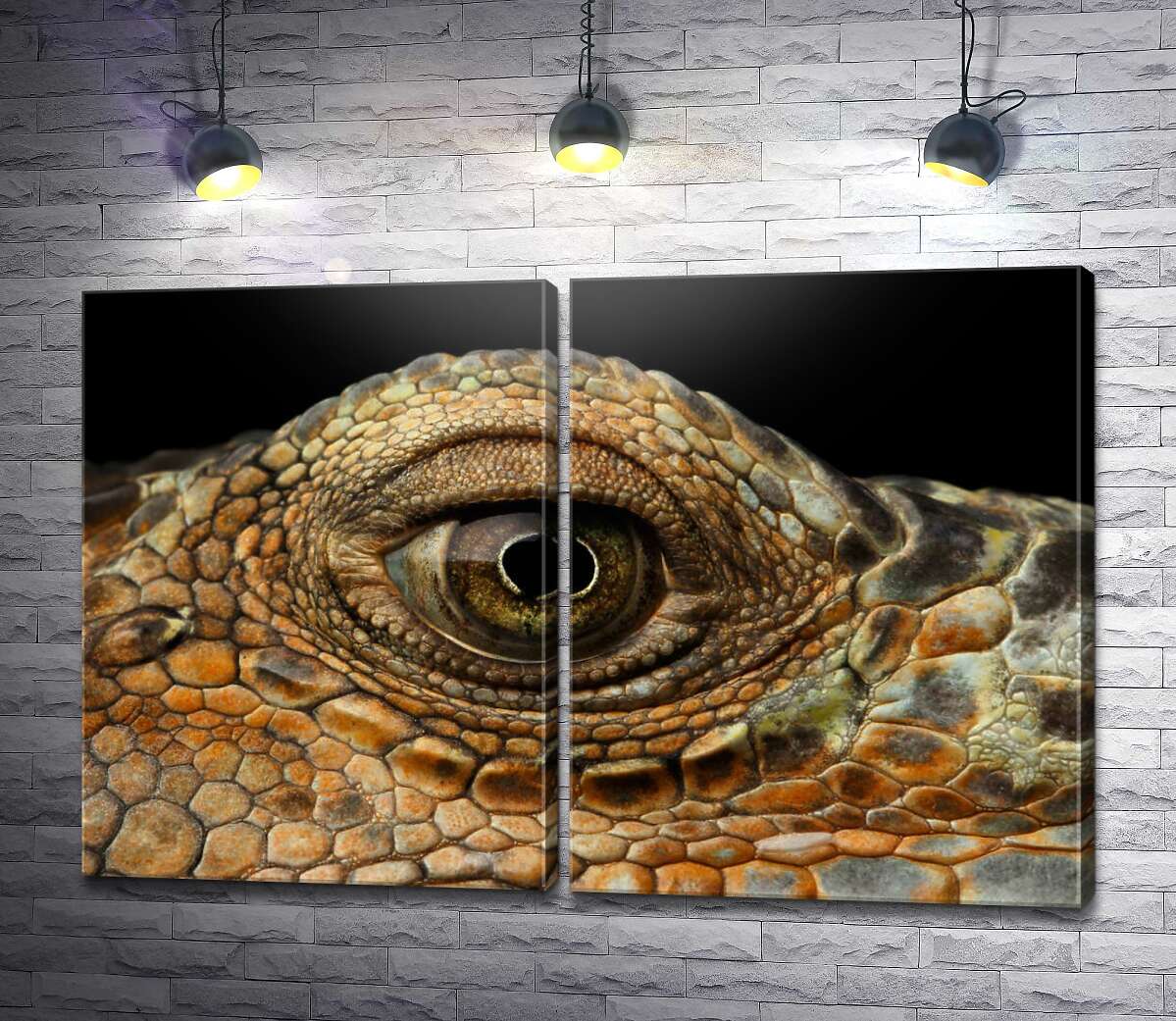 модульная картина Глаз рептилии крупным планом