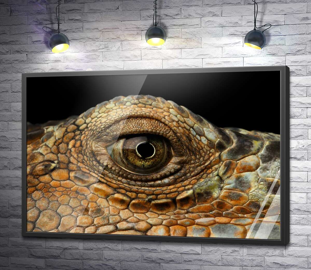 постер Глаз рептилии крупным планом