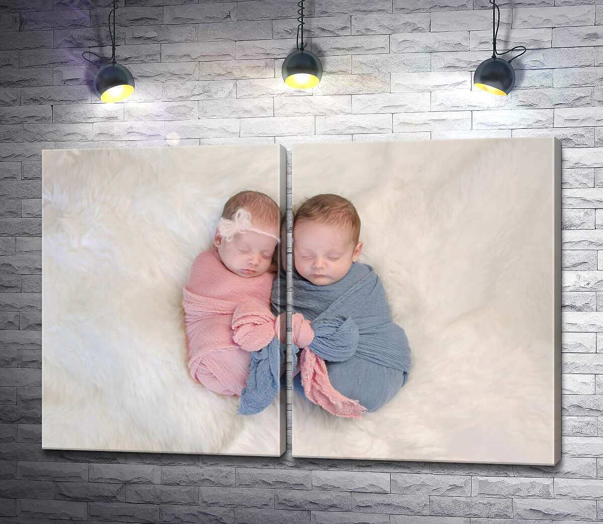 модульна картина Двоє немовлят солодко сплять у коконах