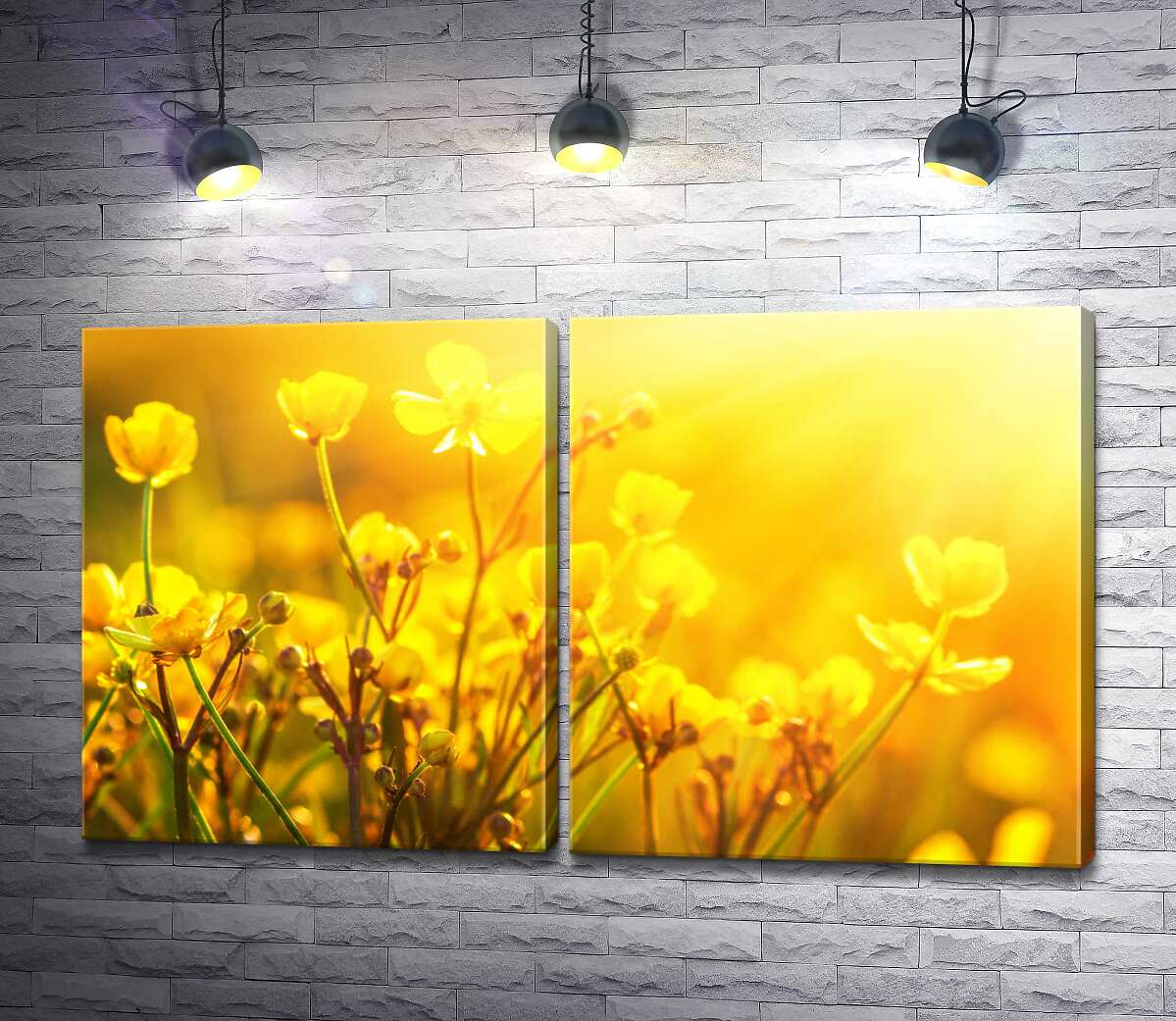 модульная картина Весенние желтый цветы в теплых лучах солнца