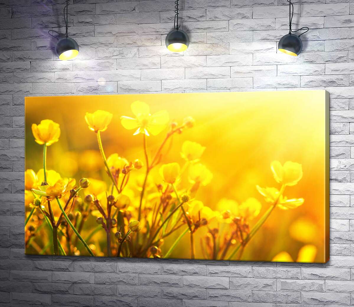 картина Весенние желтый цветы в теплых лучах солнца