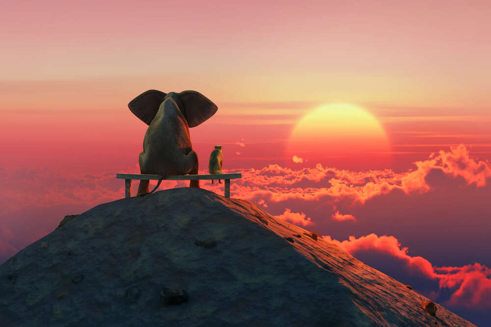 картина-постер Слон і собака на лавці, що дивляться на захід сонця