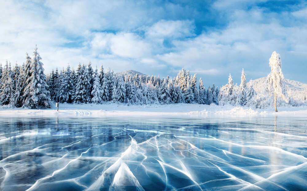 картина-постер Замерзлі озера на тлі соснового лісу