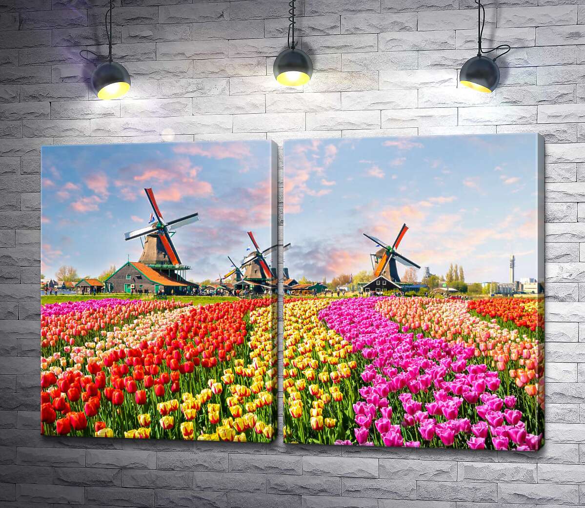 модульная картина Поля тюльпанов на фоне мельниц