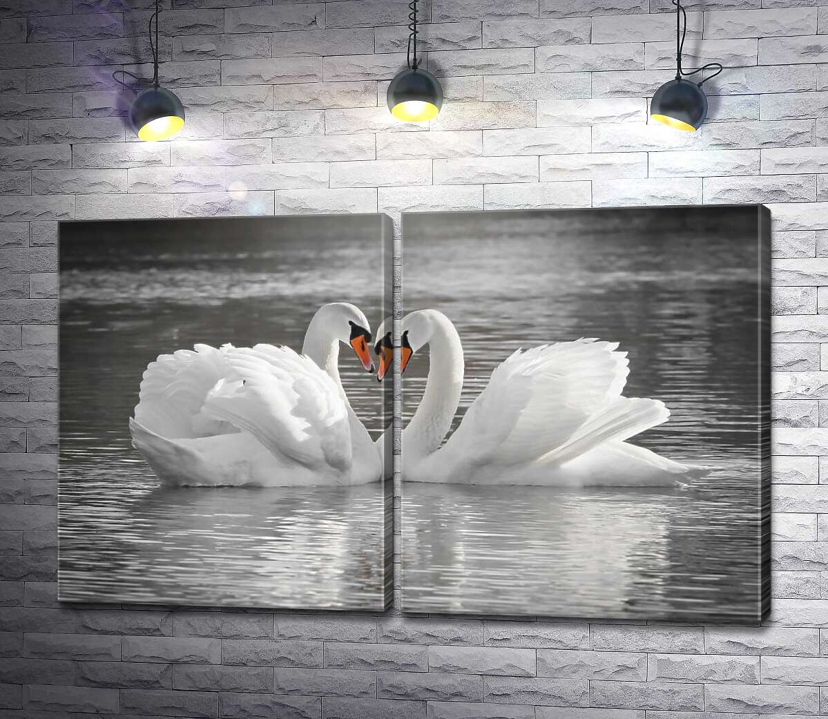 модульна картина Два білих лебедя на ставку