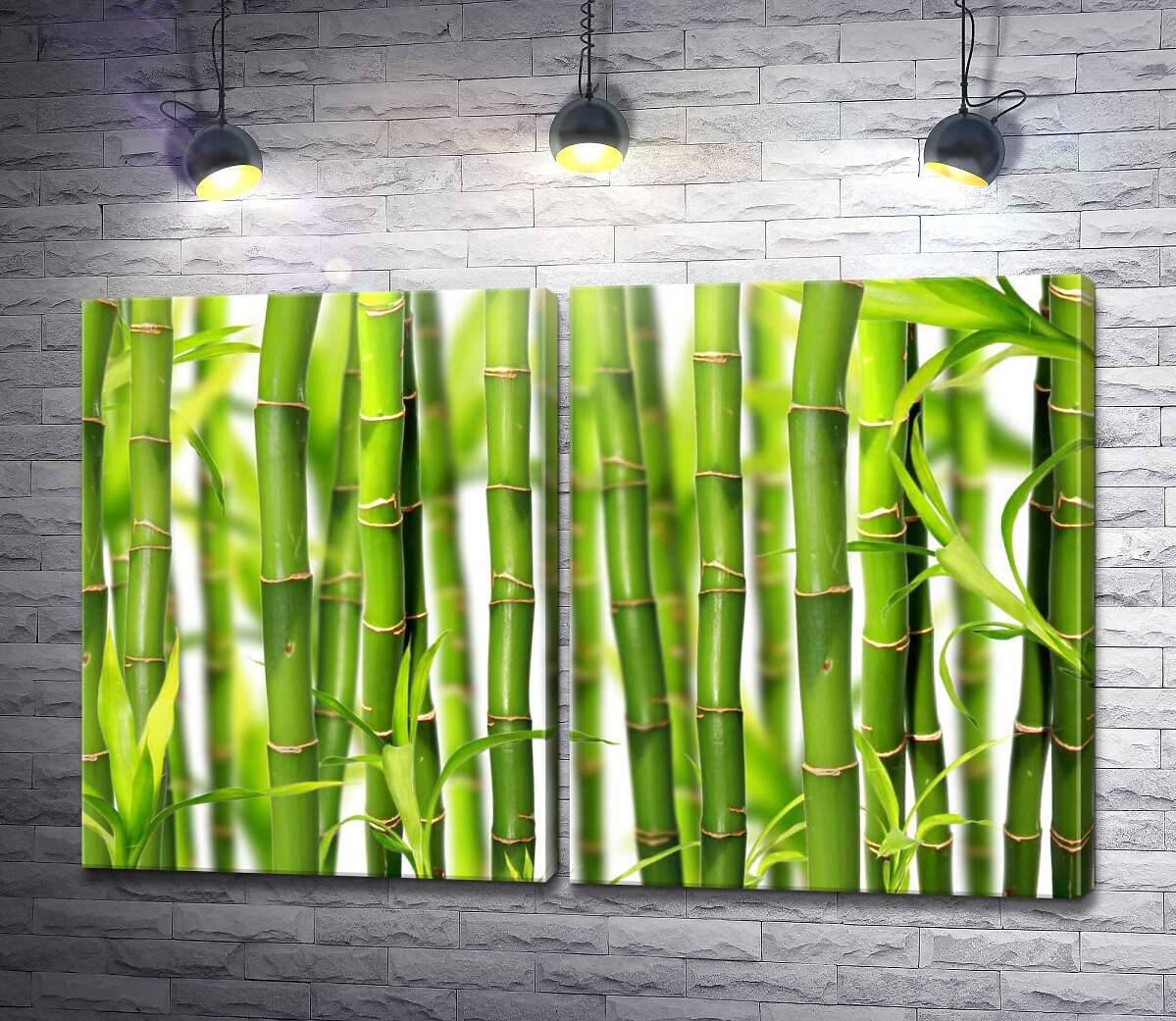 модульная картина Стебли бамбука на белом фоне