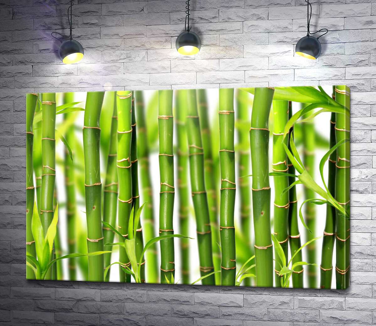 картина Стебли бамбука на белом фоне
