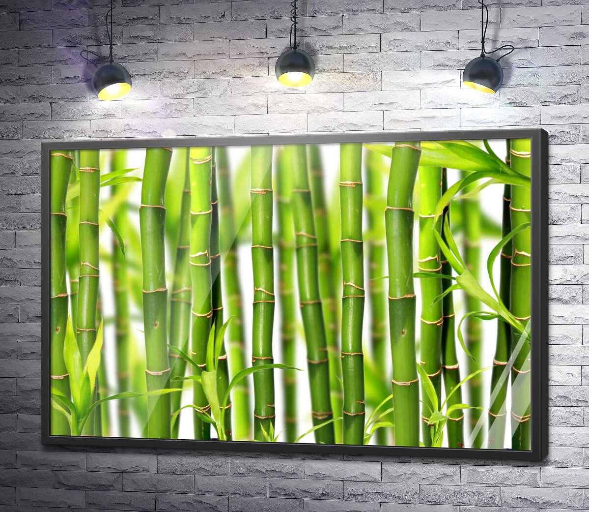 постер Стебли бамбука на белом фоне