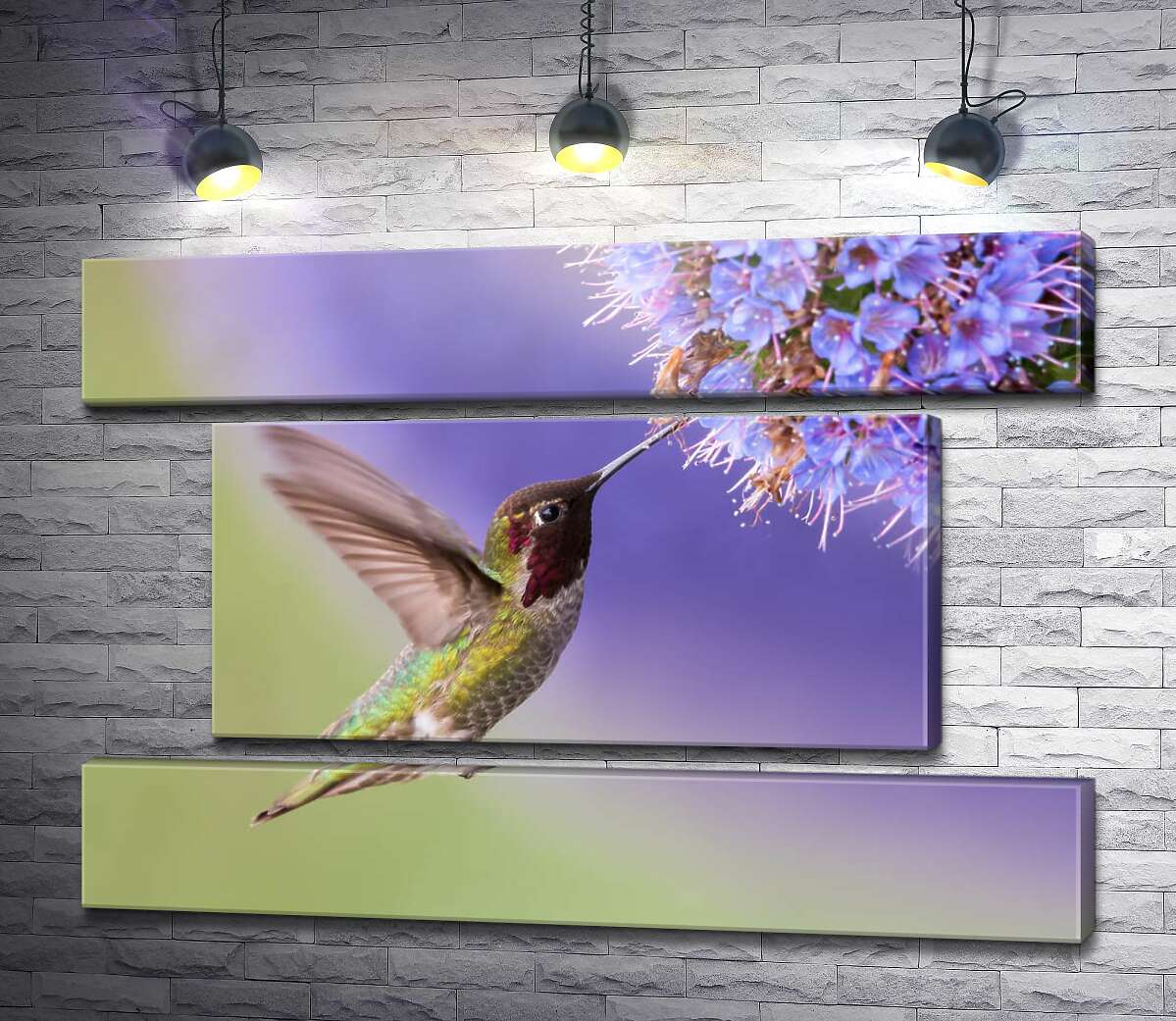 модульна картина Колібрі збирає пилок (Модуль №18)