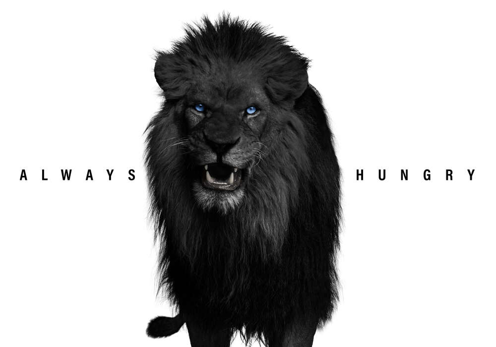 картина-постер Всегда голоден: черный лев с голубыми глазами